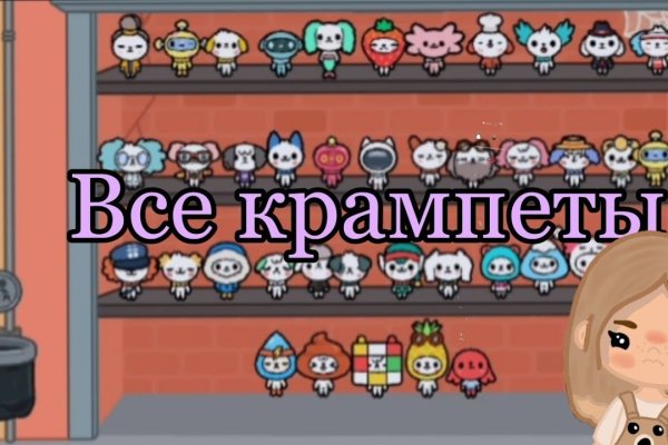 Kraken 24 top