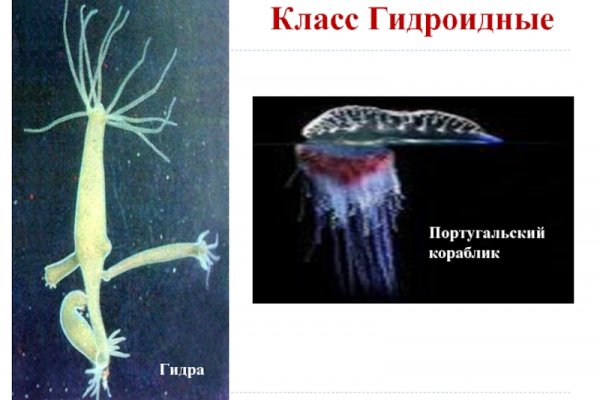 Кракен ссылку где