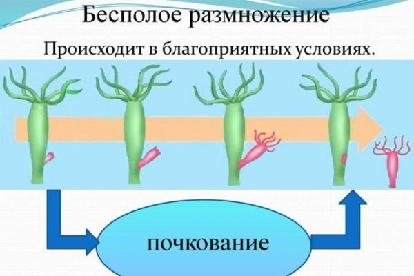 Кракен вход