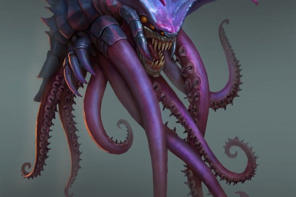Kraken 17 at net