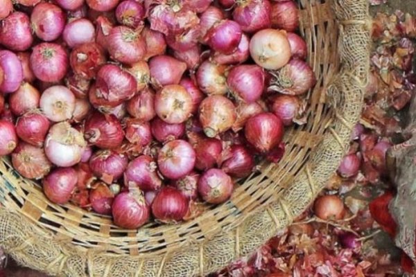 Актуальная ссылка на кракен